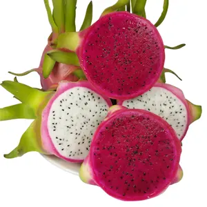 Fresh and premium quality Dragon/Pitaya fruit from Viet Nam - good price for wholesale