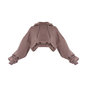 Sudadera con capucha de felpa francesa gruesa personalizada para mujer, estilo urbano, con estampado de letras, holgada, corta, con logo frontal - Product Image 6