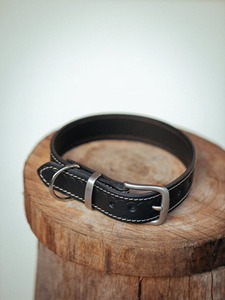 Collar clásico para perro, 20mm, negro - Product Image 5