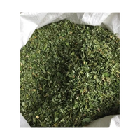 Meilleures ventes Sachet de thé séché en feuilles de Moringa/Sachet de thé au Moringa en vrac pour infusions d'herbes du Vietnam