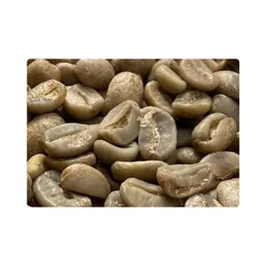 Robusta bahan biji hijau tahan lama pemasok kopi hijau biji kopi disesuaikan Logo tas rami produsen Vietnam