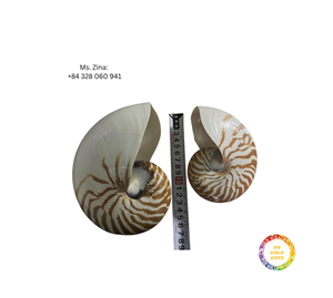 Servilleteros de concha Natural hechos a mano, servilletero de concha marina único para decoración de mesa de fiesta de boda costera hecho a mano en Vietnam - Product Image 3