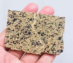 Orbicular Rough <b>Slice</b> - Product Image 5