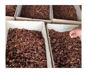 [OFFRE SPÉCIALE] ANIS ÉTOILÉ D'AUTOMNE 100% Frais Entiers Durée de Conservation de 24 Mois HAUTE QUALITÉ PRIX LE PLUS BAS VIETNAM PRESTIGEUX - Product Image 6