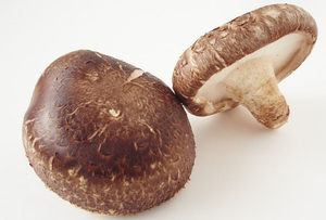 Hongo Shiitake Seco de Vietnam |   Embalaje OEM Disponible - Product Image 2