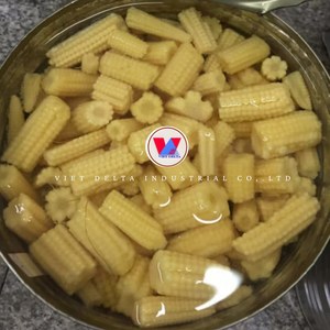 Maíz enlatado de primera calidad, espigas enteras en salmuera, maíz joven crujiente enlatado, venta al por mayor - Product Image 5