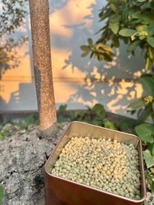 New DAP Chất lượng cao diammonium Hydrogen <span class=keywords><strong>Phosphate</strong></span> DAP 18-46-0 sản xuất tại Việt Nam giá tốt agticultural phân bón - Product Image 3
