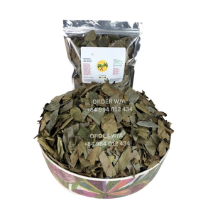 Prix d'usine 100% feuilles de graviola séchées naturelles pour les soins de santé du Vietnam - Product Image 4