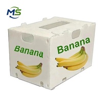 Caisse d'emballage pour pain en plastique PP/PET de qualité alimentaire, réutilisable, avec matériaux recyclés pour boulangerie et transport alimentaire
