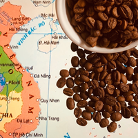 Granos de café tostados de Vietnam, Hiva's coffee 100% Pure Robusta, 0,25 kg, fuerte, de cuerpo entero, acepta café fresco OEM