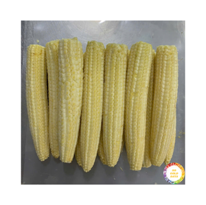 Maïs sucré congelé naturel du Vietnam, issu de maïs fraîchement récolté, idéal pour la transformation alimentaire et la production de plats préparés - Product Image 6