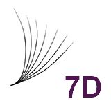 7D