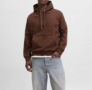 Venta al por mayor ropa de calle personalizada de gran tamaño de peso pesado en blanco liso sudaderas con capucha Logotipo de impresión de soplo personalizado para el invierno - Product Image 2