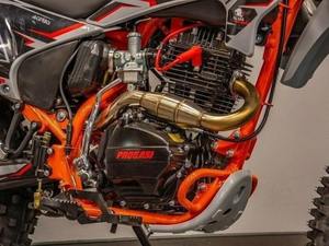 Ventes Flash de Saison Progasiiiis Palmaaa 250 2025 Livraison Mi/Début de Novembre - Product Image 6