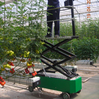 Nouveau chariot électrique de haute qualité pour tuyaux métalliques, avec câble, pour serres agricoles, culture de tomates et légumes, garantie 2 ans, Seomak 0.5
