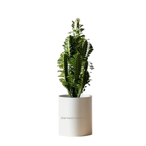 Vase à fleurs en métal cylindrique blanc de conception américaine pour la maison Salon Vase à fleurs décoratif fait à la main - Product Image 1
