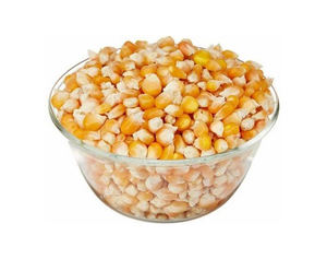 Maíz de origen natural OGM, alimento de maíz amarillo fresco para ganado y aves de corral, alimento para animales a precio competitivo - Product Image 4