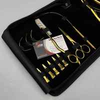 Kit d'outils Micro-lien de qualité supérieure Pince à extensions de cheveux en couleur or avec étui Logo personnalisé Extensions boucle de traction de cheveux