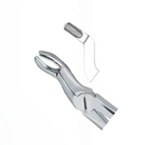 Pince à extraction dentaire Fig57 Produits avec logo personnalisé de qualité supérieure Instruments dentaires en acier inoxydable de haute qualité - Product Image 3