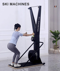 Rameur d'intérieur à usage domestique <span class=keywords><strong>Ventilateur</strong></span> en fer pour l'entraînement du ski Produit de sport et de divertissement pour l'intérieur - Product Image 2