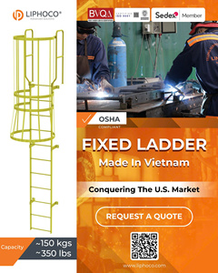 Steel Fixed <b>Ladder</b> Safety Cage Roof Access System for Commercial Buildings Vietnam Manufacturer OEM ODM Export Standard - Product Image 2