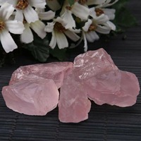 Lampe de sel rose naturelle brute sculptée de 100g, motif floral, pour la guérison, le Reiki, l'art et la collection