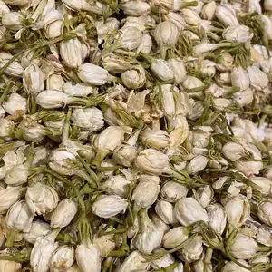 Avantages pour la santé du thé de fleur de jasmin séché naturel pur Vietnam à un prix attractif