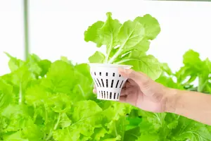 Grand ensemble familial pour l'irrigation et la culture hydroponique à l'extérieur Équipement haut de gamme pour l'entretien du jardin - Product Image 4