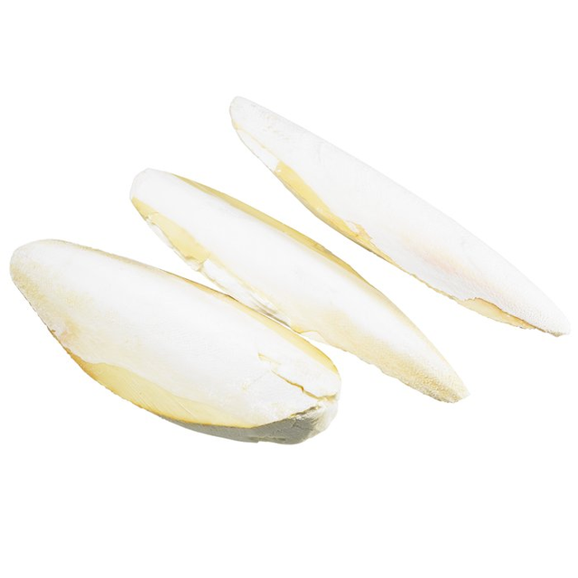 THE BEST PRICE CLEAN DRIED CUTTLEFISH BONE FROM VIETNAM