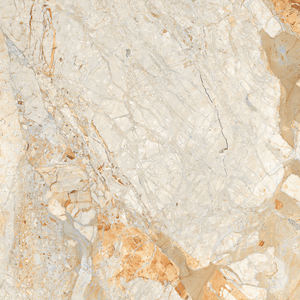 Acabado brillante, aspecto de mármol natural, azulejos de porcelana vitrificada, fabricación en India para urinario WC. - Product Image 3