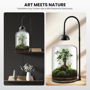 Contenitori in Vetro per Terrario con Luce LED a Timer e Ventilazione, Grande Vaso per Piante Succulente e Muschio, 8,27" H, Mini Giardino - Product Image 5