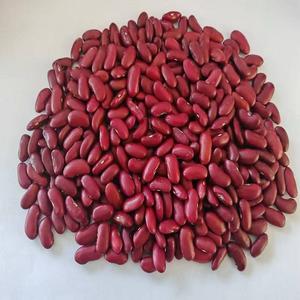 Frijoles Rojos de Calidad de Exportación, Paquete a Granel, Tamaño Uniforme, Color Intenso, Nutrición Rica, Proteína Natural Saludable Premium, 98% - Product Image 1