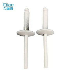 Mái vòm đầu AL mù đinh tán với thép trục gá <span class=keywords><strong>3</strong></span> <span class=keywords><strong>mm</strong></span> đinh tán mở cuối Pop Trắng Mù đinh tán remaches de aluminio - Product Image 6