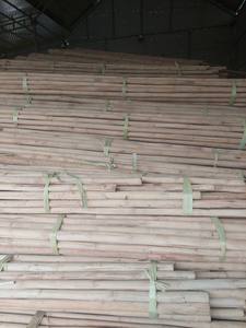 Poteau de canne en bambou écologique de qualité supérieure en bambou naturel pour le jardin, la décoration et la construction - Product Image 3