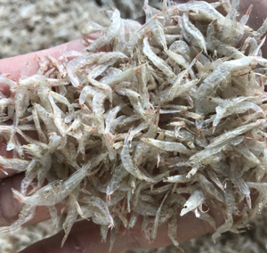 Crevettes séchées naturellement, matière première utilisée pour les plats de riz et les garnitures savoureuses, ingrédient provenant de la côte du Vietnam - Product Image 6
