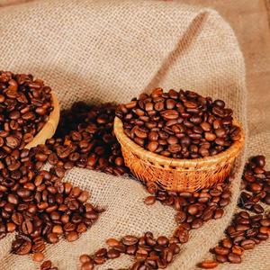 Café moulu torréfié Arabica de spécialité 100% naturel de haute qualité certifié ISO 22000 certifié USDA Marque TNFOOD Origine Vietnam - Product Image 1