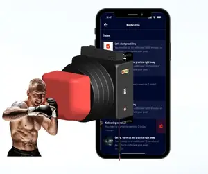 Fury Fit Multi-Function Station Smart Trainer for Martial Arts Your Journey to Becoming a Warrior Begins Here