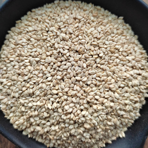 Graines de sésame blanches naturelles 99.99% par un exportateur vérifié d'Inde - Product Image 1