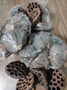 Vainas de loto secas para decoración de acuario Fish Hiding Place Home Decor - Product Image 6