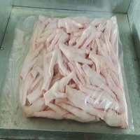 Pieds de poulet congelés de haute qualité et pattes de poulet halal pour l'approvisionnement alimentaire international