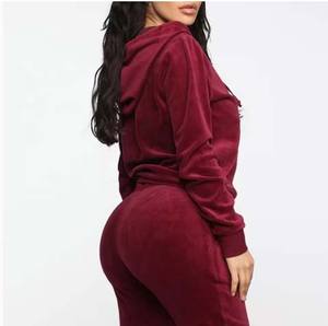 Traje de chándal activo de manga larga para correr, chándal de entrenamiento para mujer, chándal de gimnasio con capucha de terciopelo ajustado - Product Image 2