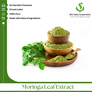 Polvo de extracto de hoja de Moringa de alta calidad para proveedores de ingredientes alimentarios, fabricantes de cosméticos e industria de bebidas en todo el mundo - Product Image 4