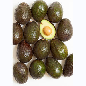 Aguacate Fresco para Exportación con el Mejor Precio Estándar de Alta Calidad en Venta - Product Image 6