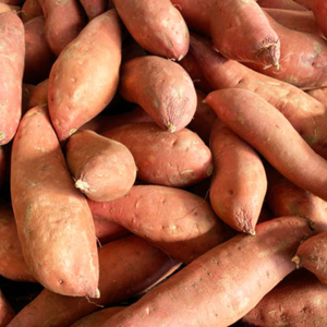 PATTES DOUCES DU VIETNAM DE HAUTE QUALITÉ avec prix à la ferme bon marché en gros dans de nombreux types de pommes de terre Mme Heidi + 84 961 066 080 - Product Image 4