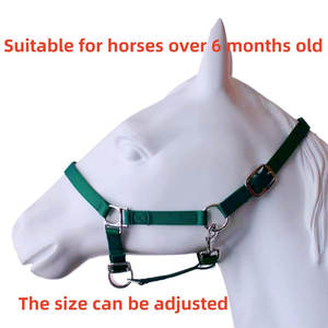 Halters en nylon de cheval réglables durables avec le rembourrage doux et le matériel antirouille - Product Image 2
