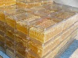 Miel cruda orgánica de Vietnam/Katty - Product Image 2