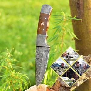 Cuchillo de Acero de Damasco de Hoja Fija con Punta de Caída, Grado Industrial, Alta Calidad, Resistente, para Exteriores, Personalizable, con Mango de Madera, OEM, Gran Oferta 2025 - Product Image 3