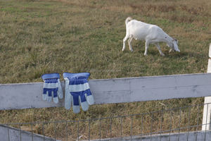 Guantes de Seguridad de Cuero Vacuno de Alta Calidad para Trabajo Doméstico, Protección Contra Impactos Nivel 3, para Soldadura y Construcción, Venta al Por Mayor - Product Image 5