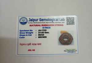 Pulsera certificada 5 Mukhi Rudraksha, cuentas nepalíes originales, positividad, alivio del estrés, protección Aura, Unisex, ajustable, energizado - Product Image 3