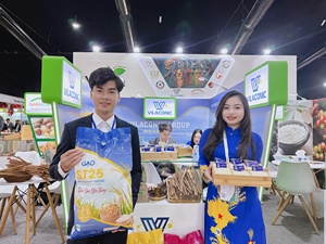ข้าวหอมมะลิแห้ง ST25 ข้าวหัก 5% ปีเก็บเกี่ยว 2024 ได้รับการรับรองมาตรฐาน HACCP ราคาดีที่สุดในโลก กลิ่นหอมเยี่ยม คุณภาพดี ยี่ห้อ VILAConic - Product Image 5